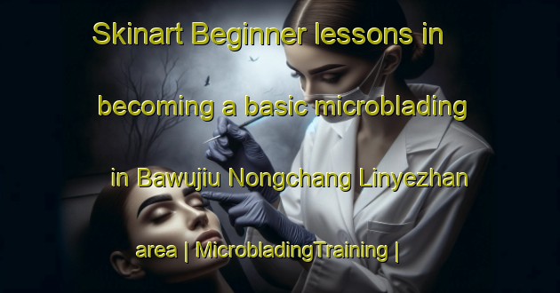 Skinart Beginner lessons in becoming a basic microblading in Bawujiu Nongchang Linyezhan area | MicrobladingTraining | MicrobladingClasses | SkinartTraining-China